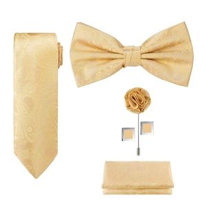 Mens 5pc Paisley Neck Tie Bow Lapel Cuff Links Set